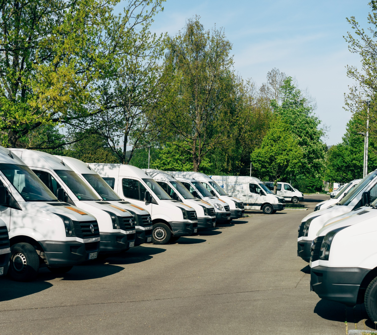 Rows of parked white vans