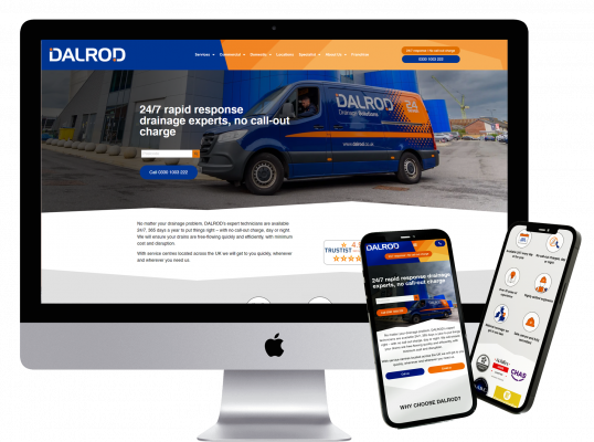 Example of customer website for DALROD